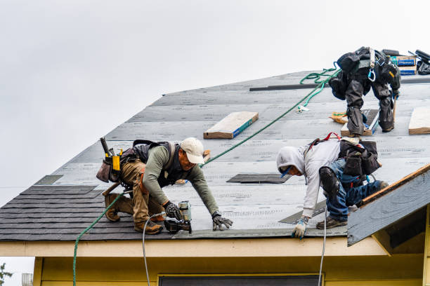 Professional Storm Damage Roof Repair technician working in Baxter, IA